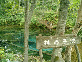 清里町神の子池.jpg